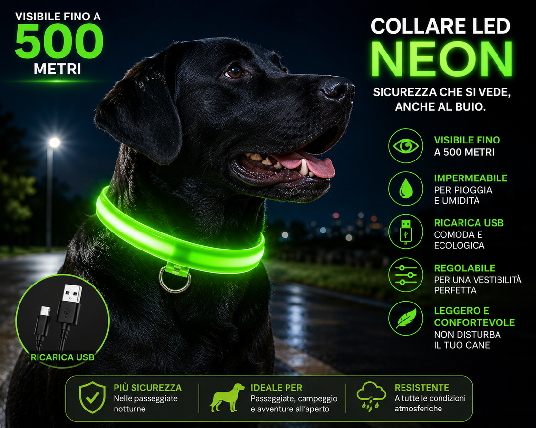 Mantieni il tuo cane al sicuro di notte con il collare LED Neon