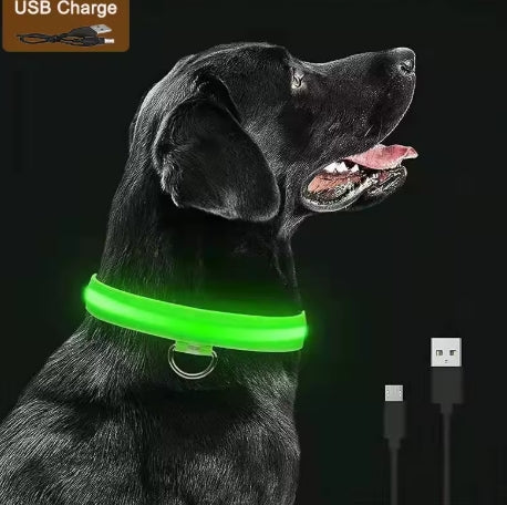 Collare Neon per il tuo cane. Sicurezza che si vede anche al buio.