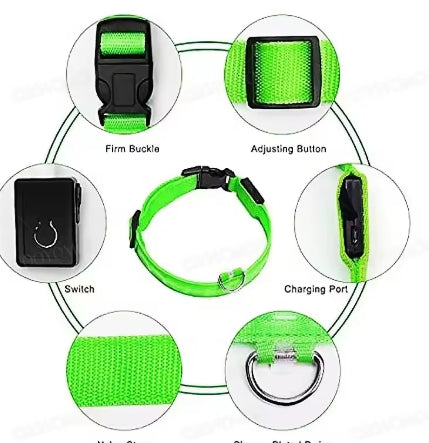 Collare Neon per il tuo cane. Sicurezza che si vede anche al buio.